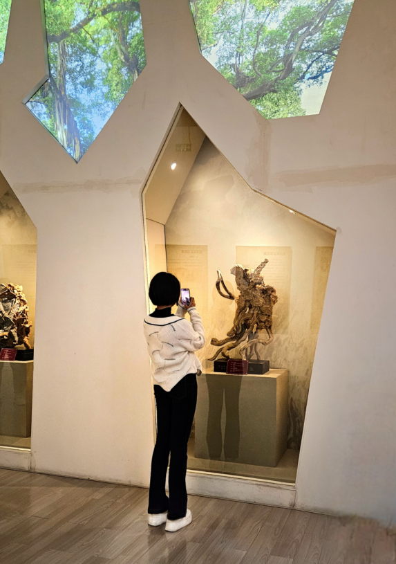 202409260918324858.png 202409260918324858.png