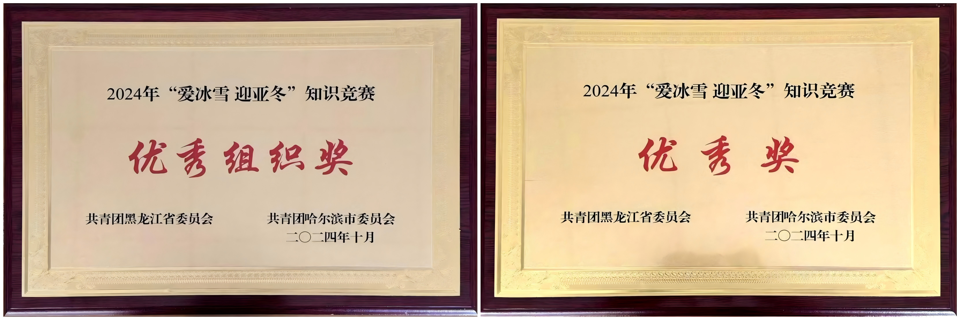 喜报丨我校荣获2024年“爱冰雪 迎亚冬”知识竞赛“优秀组织奖”