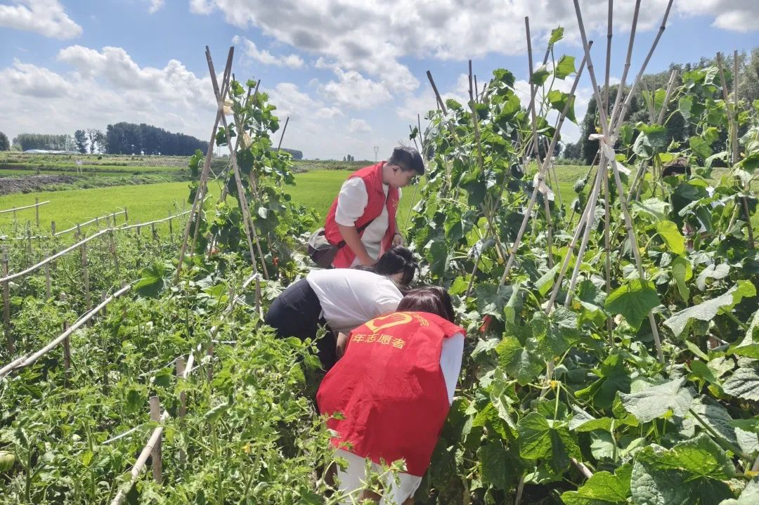 202508200904255092.png 202508200904255092.png