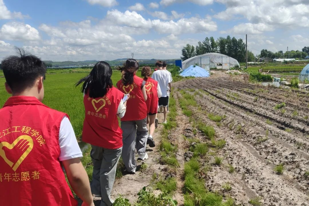 202508200900287500.png 202508200900287500.png