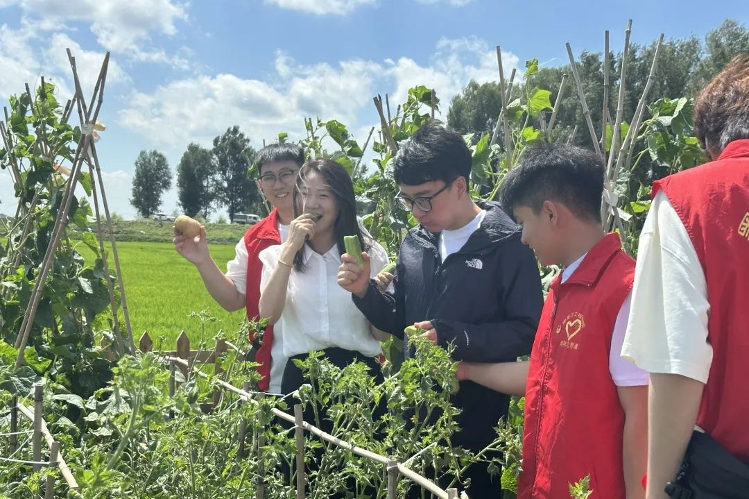 202508200904249542.png 202508200904249542.png