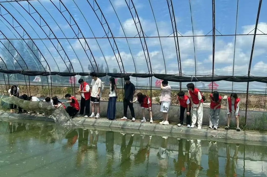 202508200857378402.png 202508200857378402.png