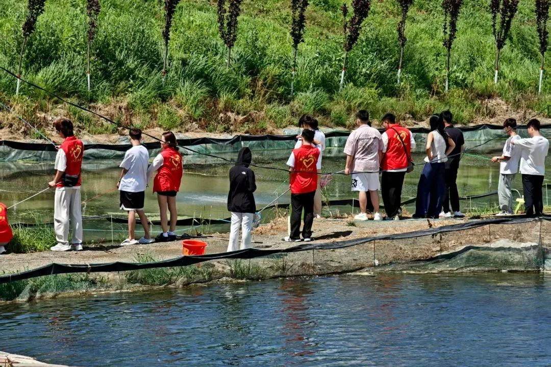 202508200900288392.png 202508200900288392.png