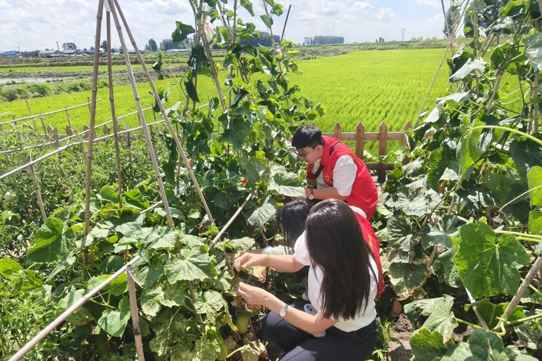 202508200904251228.png 202508200904251228.png