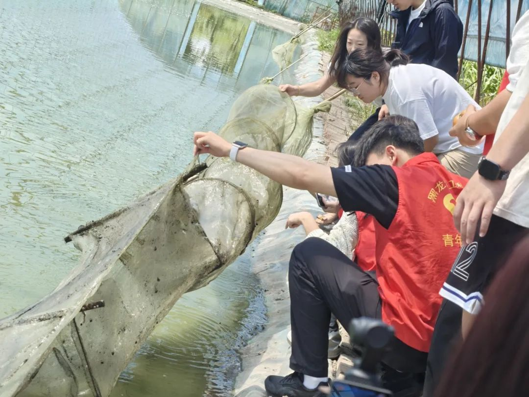 202508200900289770.png 202508200900289770.png