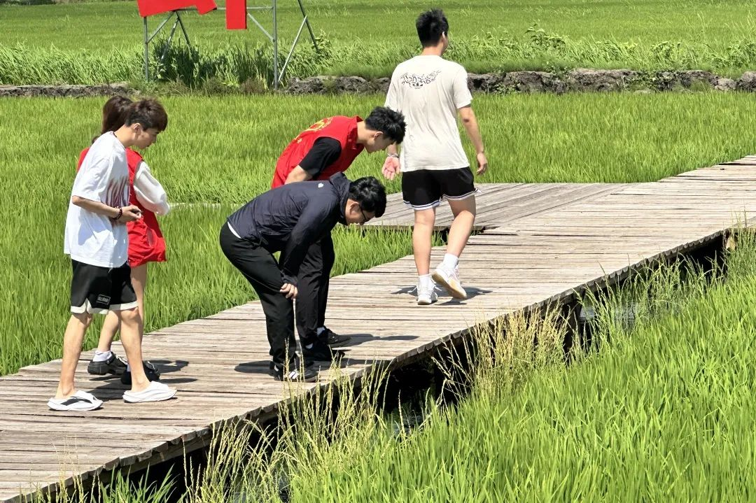 202508200857387751.png 202508200857387751.png