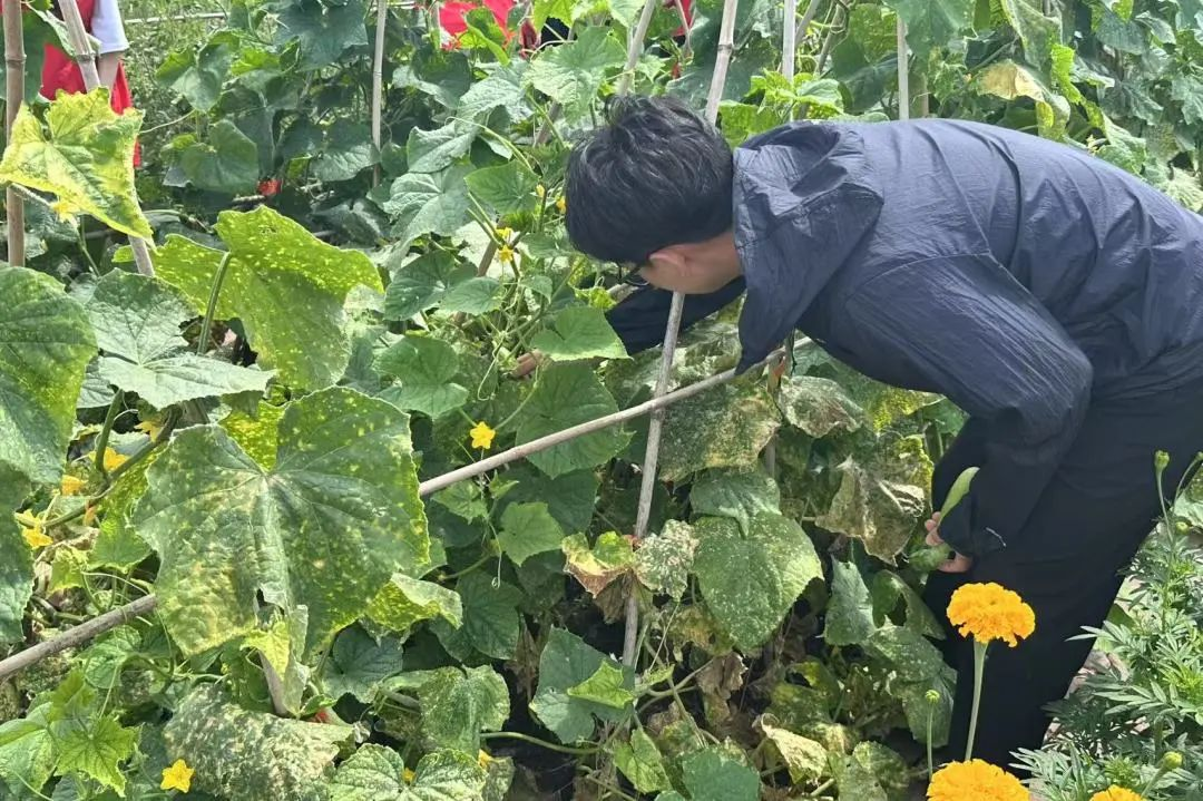 202508200904258987.png 202508200904258987.png